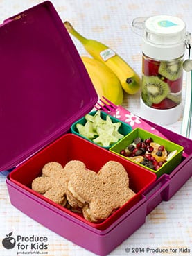 Butterfly-Bento-Box-sticker