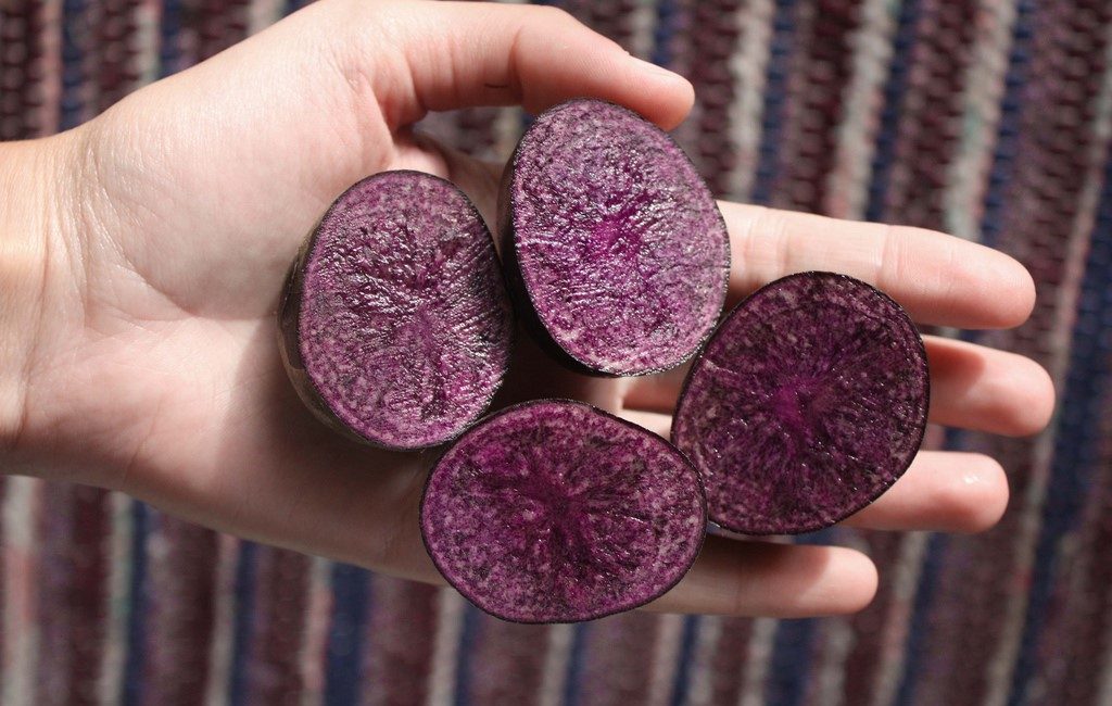 purple-potatoe
