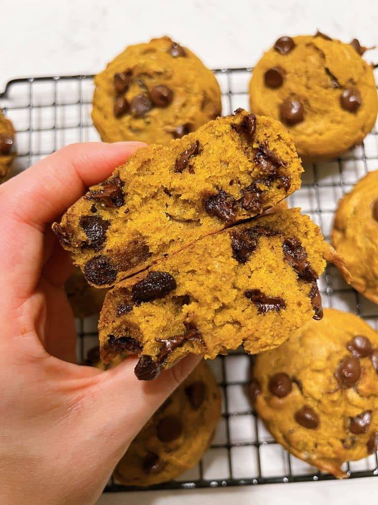 Chocolate chip pumpkin muffins 