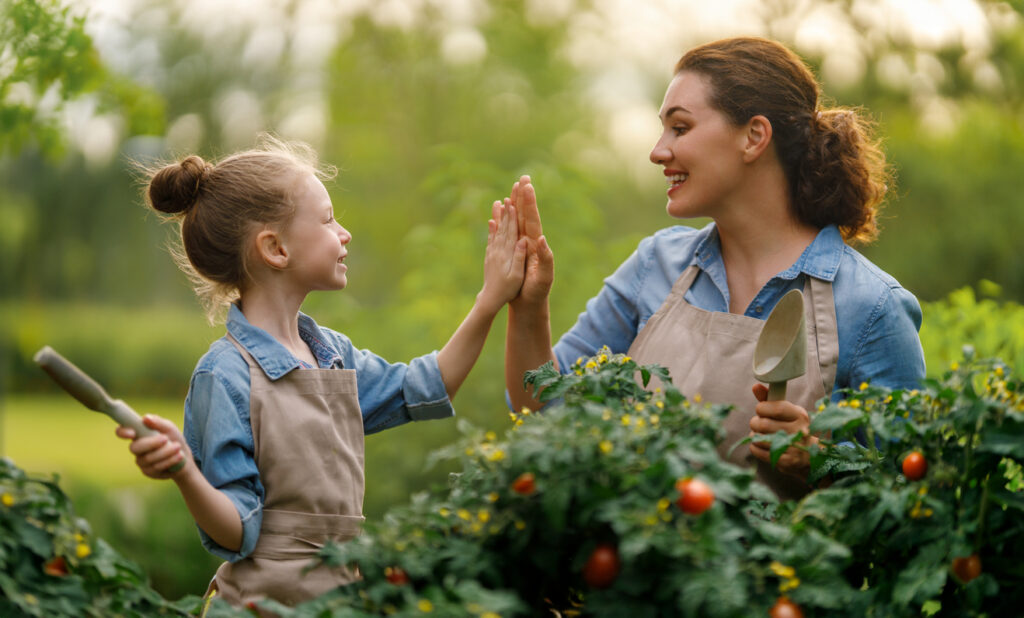 exploring-your-backyard-simple-ways-to-connect-with-nature-at-home